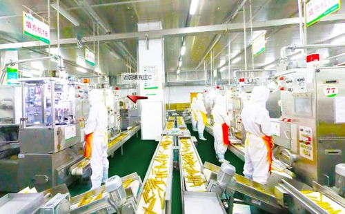 科技赋予的上帝视角 火星情报局局长汪涵带你侦查金锣工厂照明科技