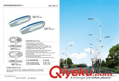 供应苏威牌低频道路灯具 无极灯灯具与低频路灯头产品详解